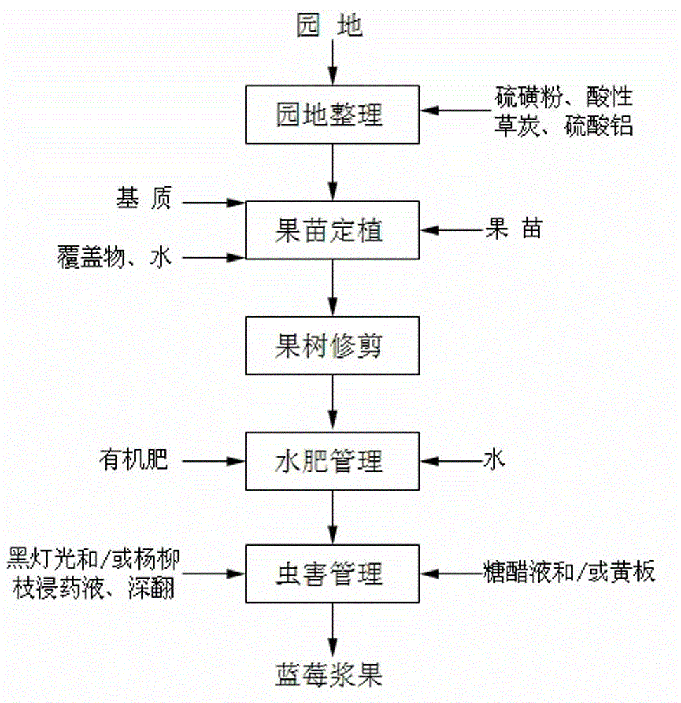 Method for cultivating organic blueberries in low-latitude and high-altitude areas