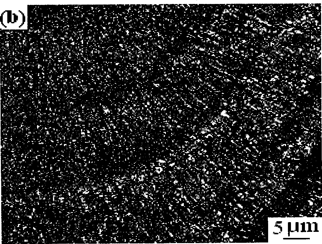 Method for preparing electroforming copper metallographical example and display texture