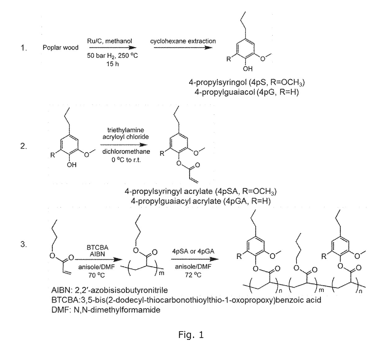 Bio-based polymers from raw lignocellulosic biomass