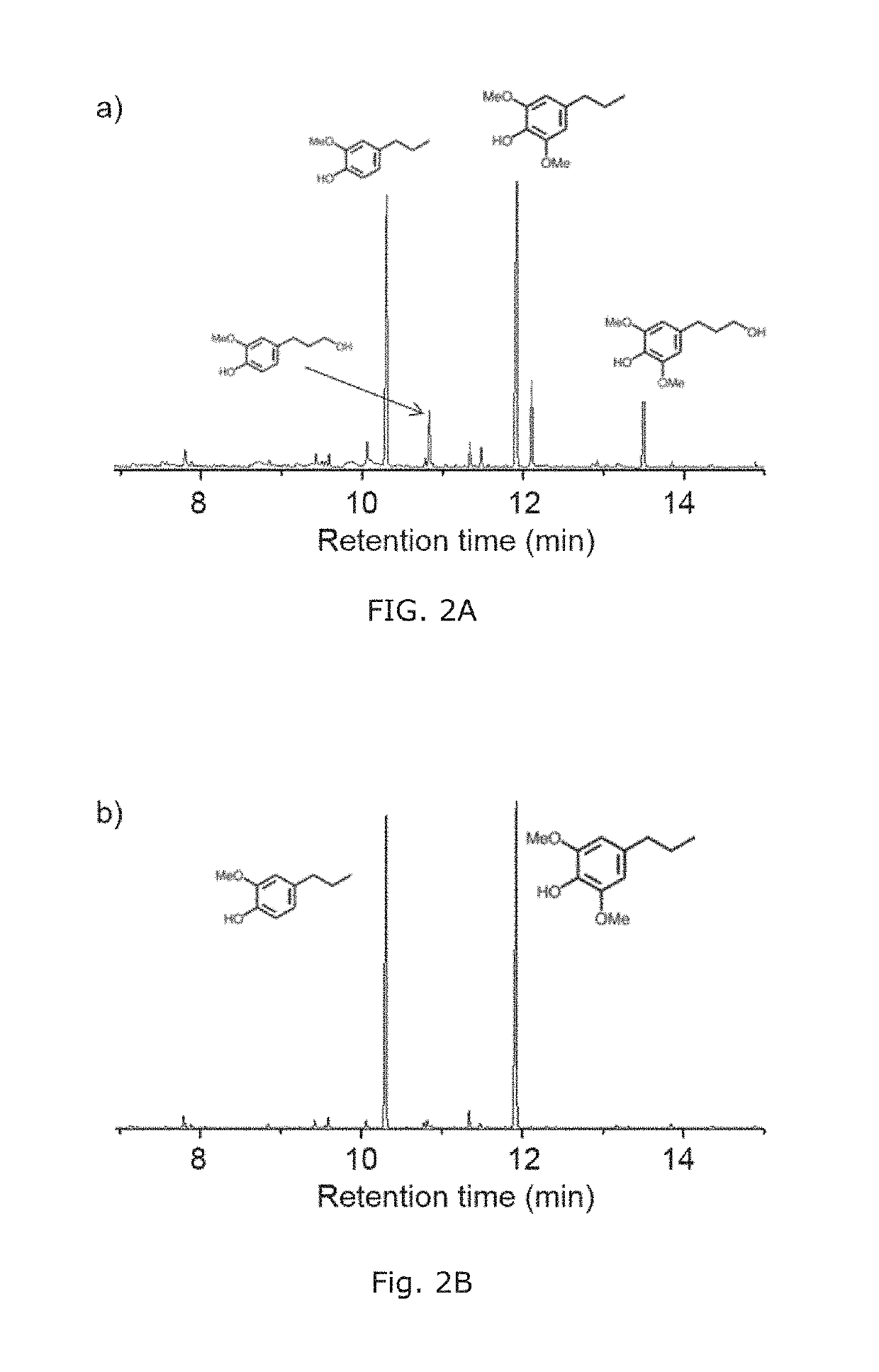 Bio-based polymers from raw lignocellulosic biomass