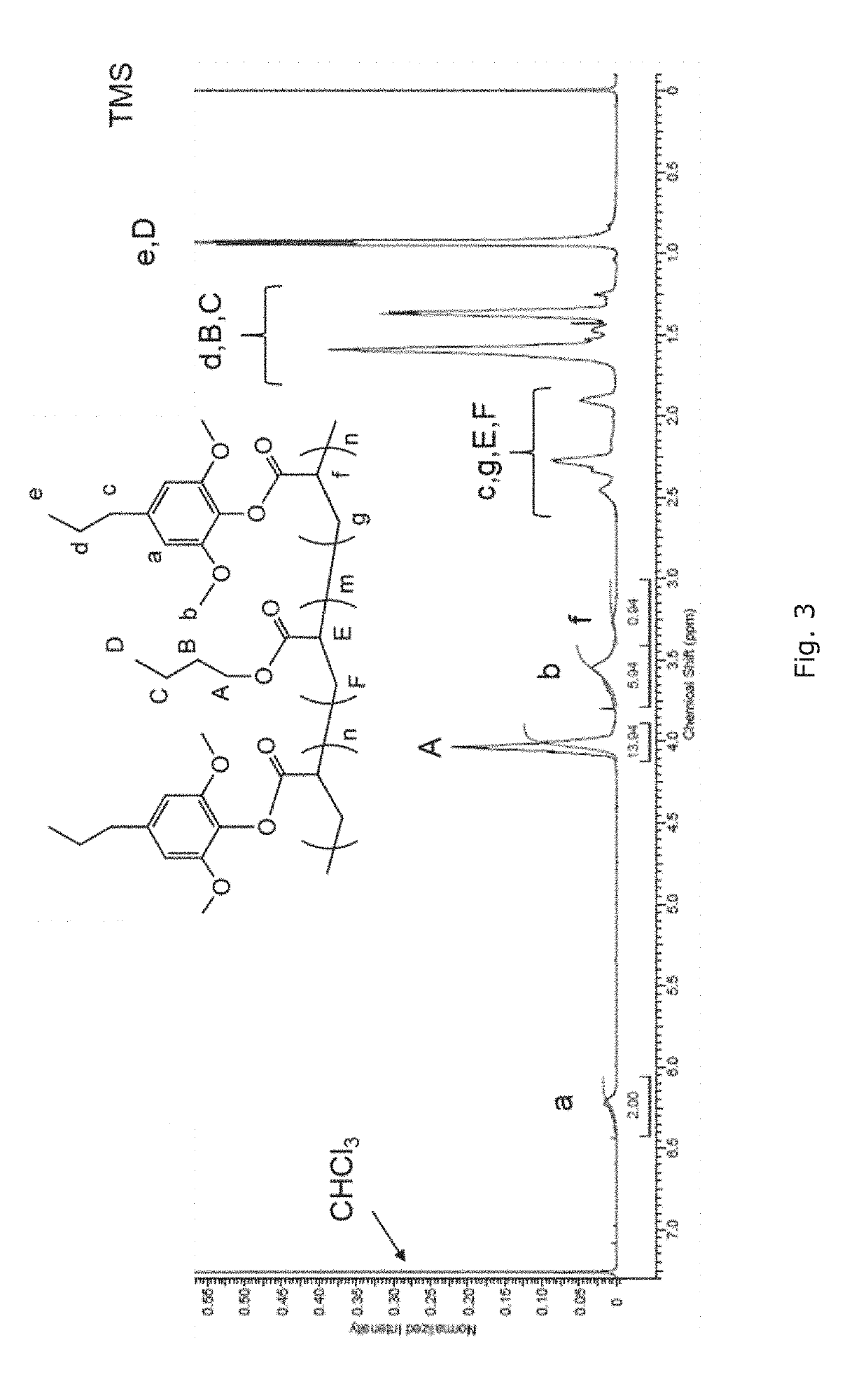 Bio-based polymers from raw lignocellulosic biomass