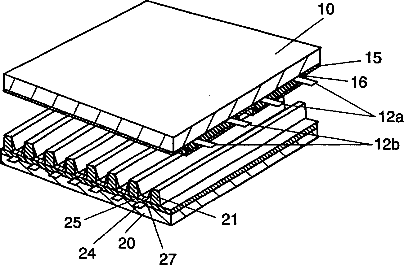 Plasma display panel and producing method thereof