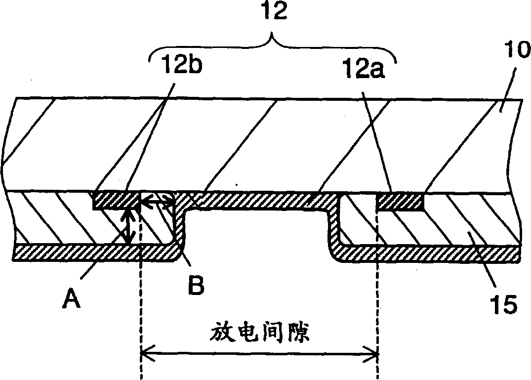 Plasma display panel and producing method thereof