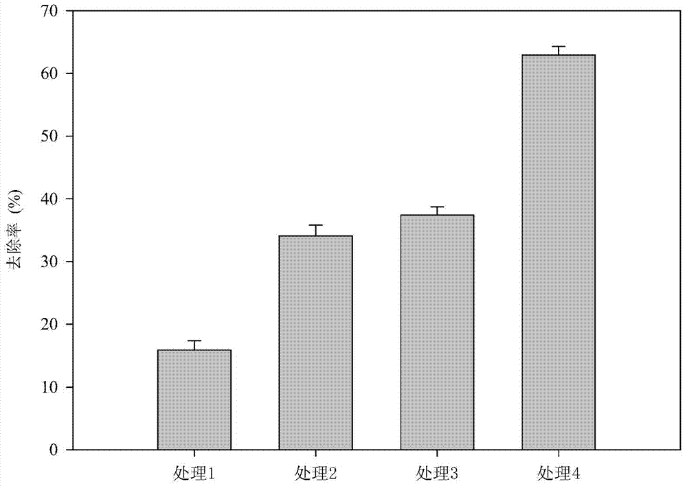 Electric restoration method and device utilizing salt bridge to improve soil organic pollutant removal