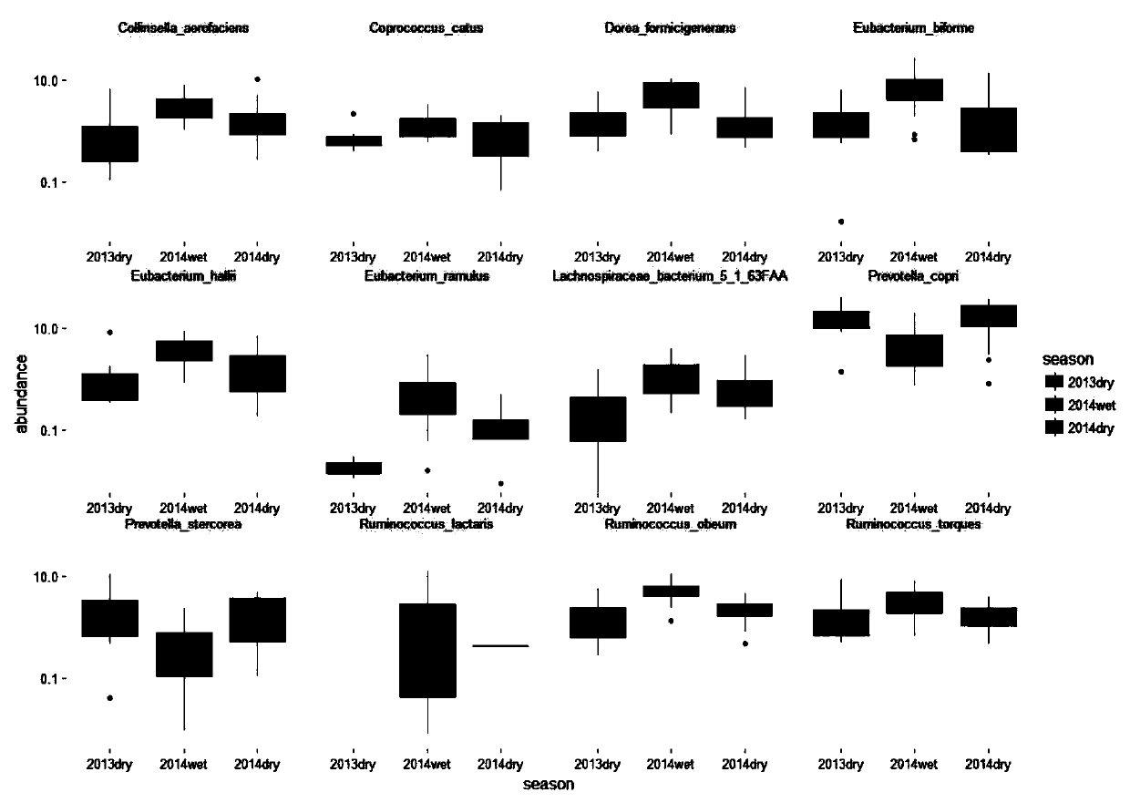 Method for identifying individual intestinal flora types based on SNP