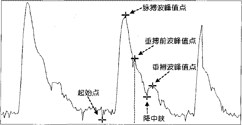 Method and device for extracting characteristic parameter in human body waveform