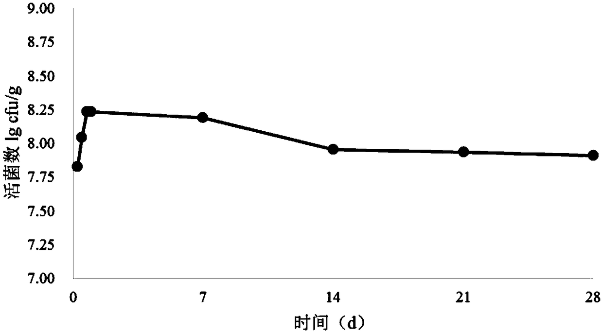 Sour cream obtained by cooperative probiotic fermentation and containing rich active bacteria and preparation method thereof