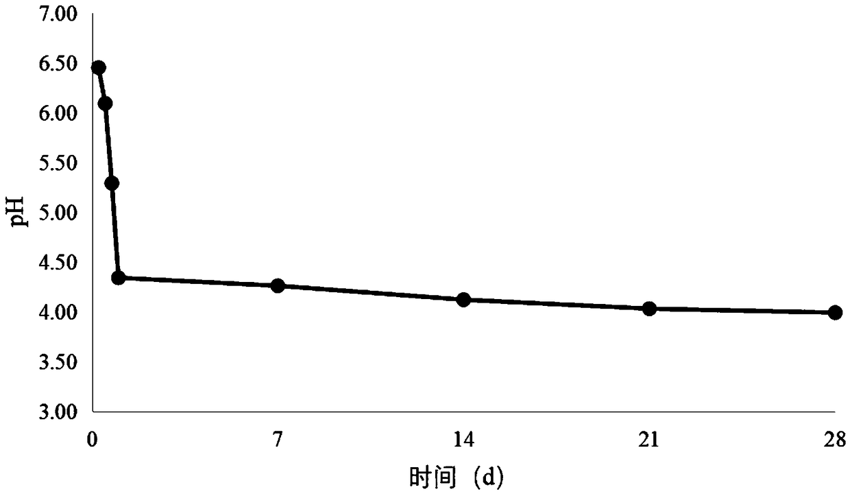 Sour cream obtained by cooperative probiotic fermentation and containing rich active bacteria and preparation method thereof