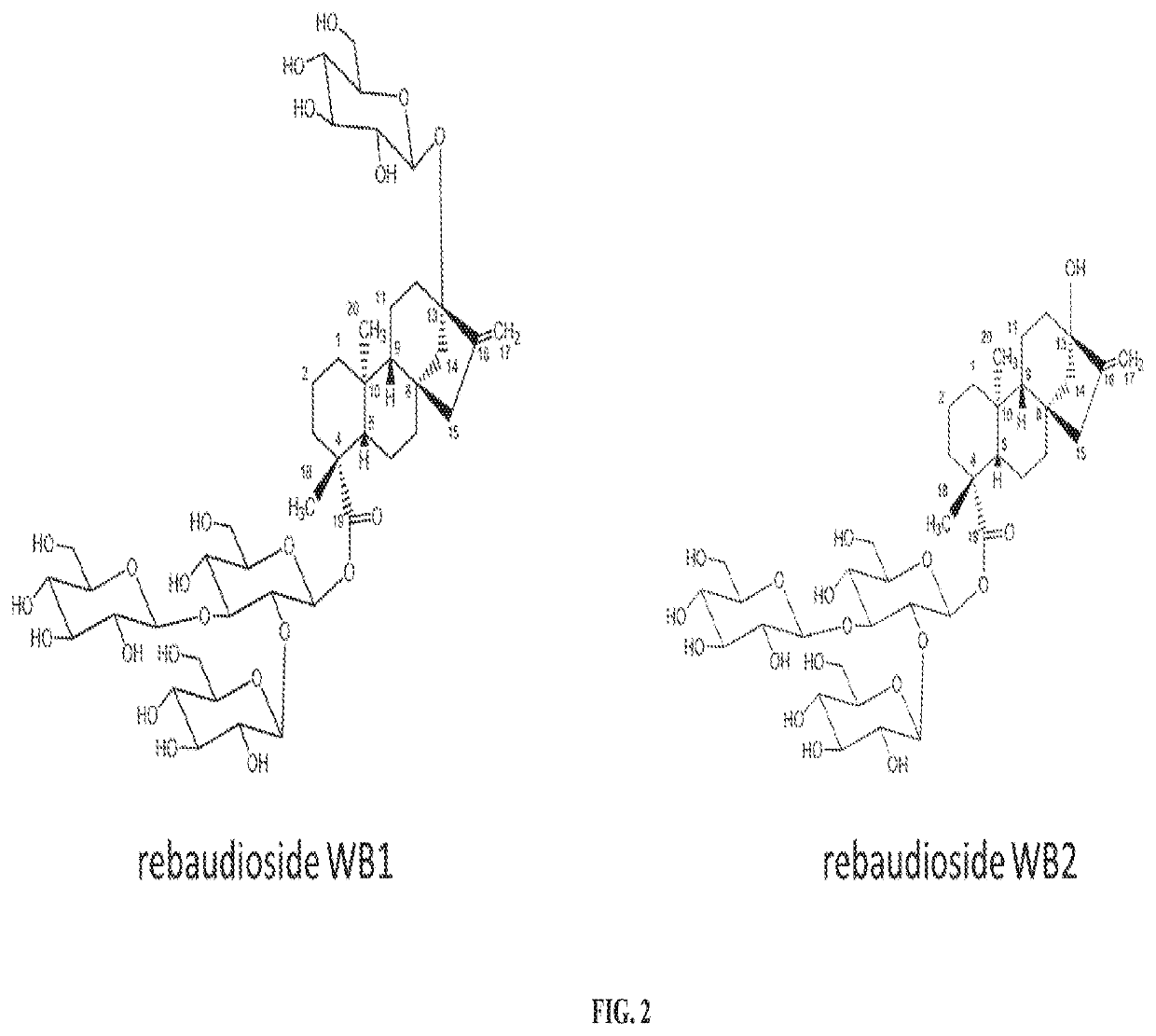 Biosynthesis production of steviol glycosides and processes therefore