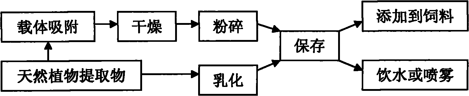 Application of plant extract as additive of livestock and poultry