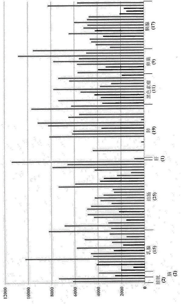 Binding agents that modulate the hippo pathway and uses thereof