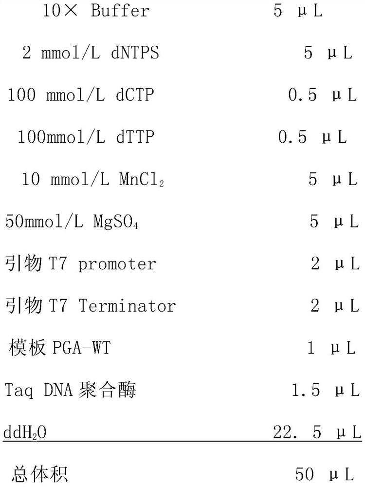 Tyrosinase mutant and application thereof