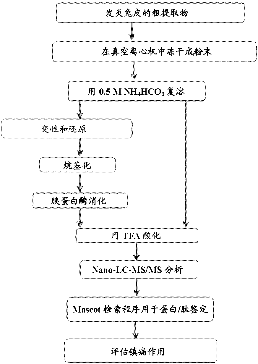 Therapeutic peptides for cerebrovascular diseases