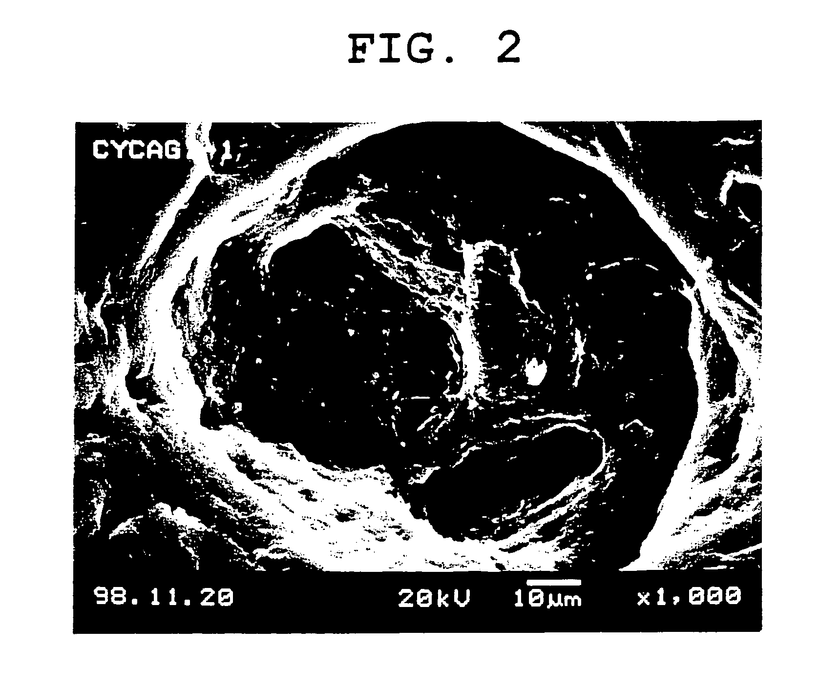 System for release in lower gastrointestinal tract