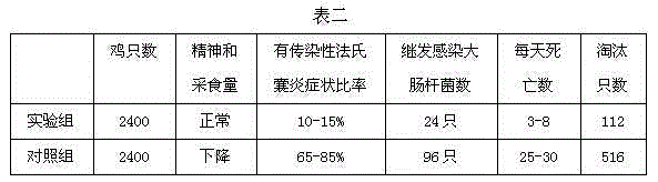 Composite fermented traditional Chinese medicine composition for preventing and treating chicken infectious bursal disease