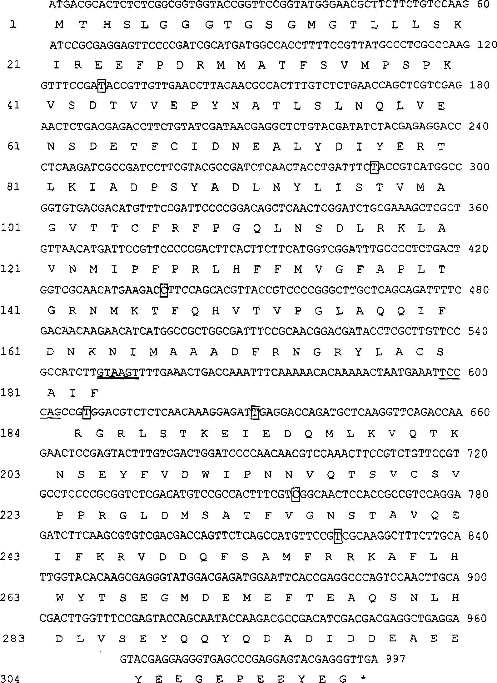 Detection gene of Fasarium graminearum for resisting carbendazim and its detection method