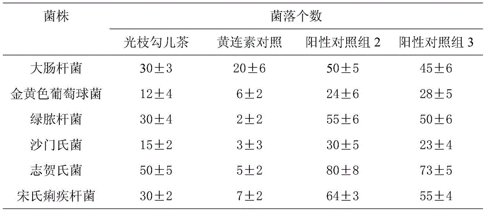 A preparation with antibacterial, anti-inflammatory and analgesic functions and its preparation method