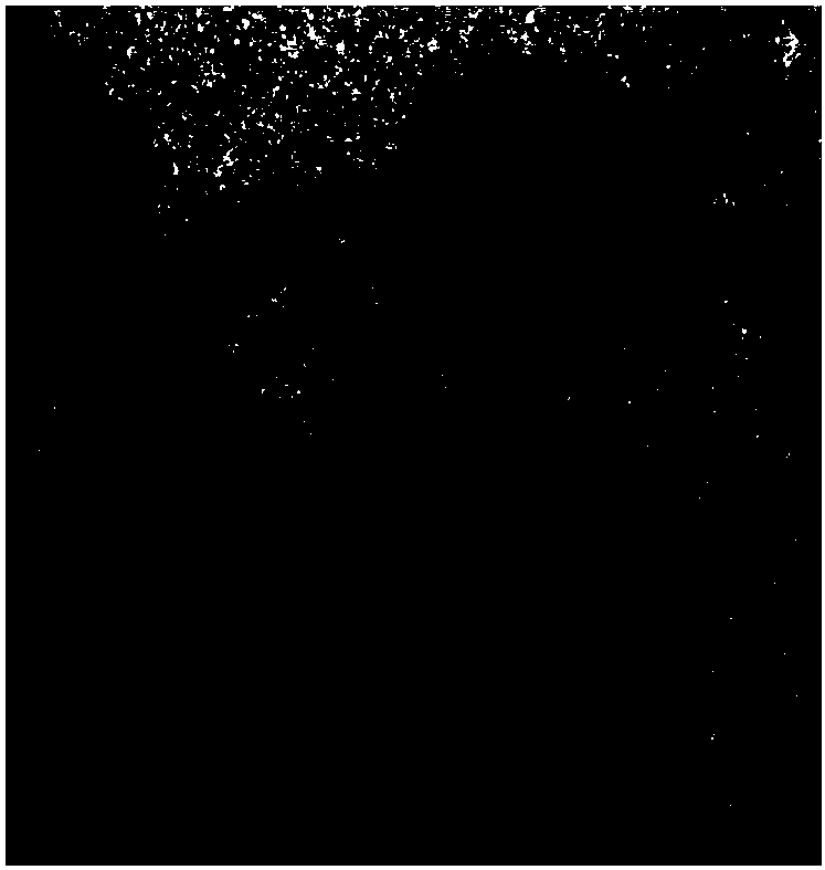 Capsaicin-vitamin e prodrug liposome, and preparation method therefor and use thereof