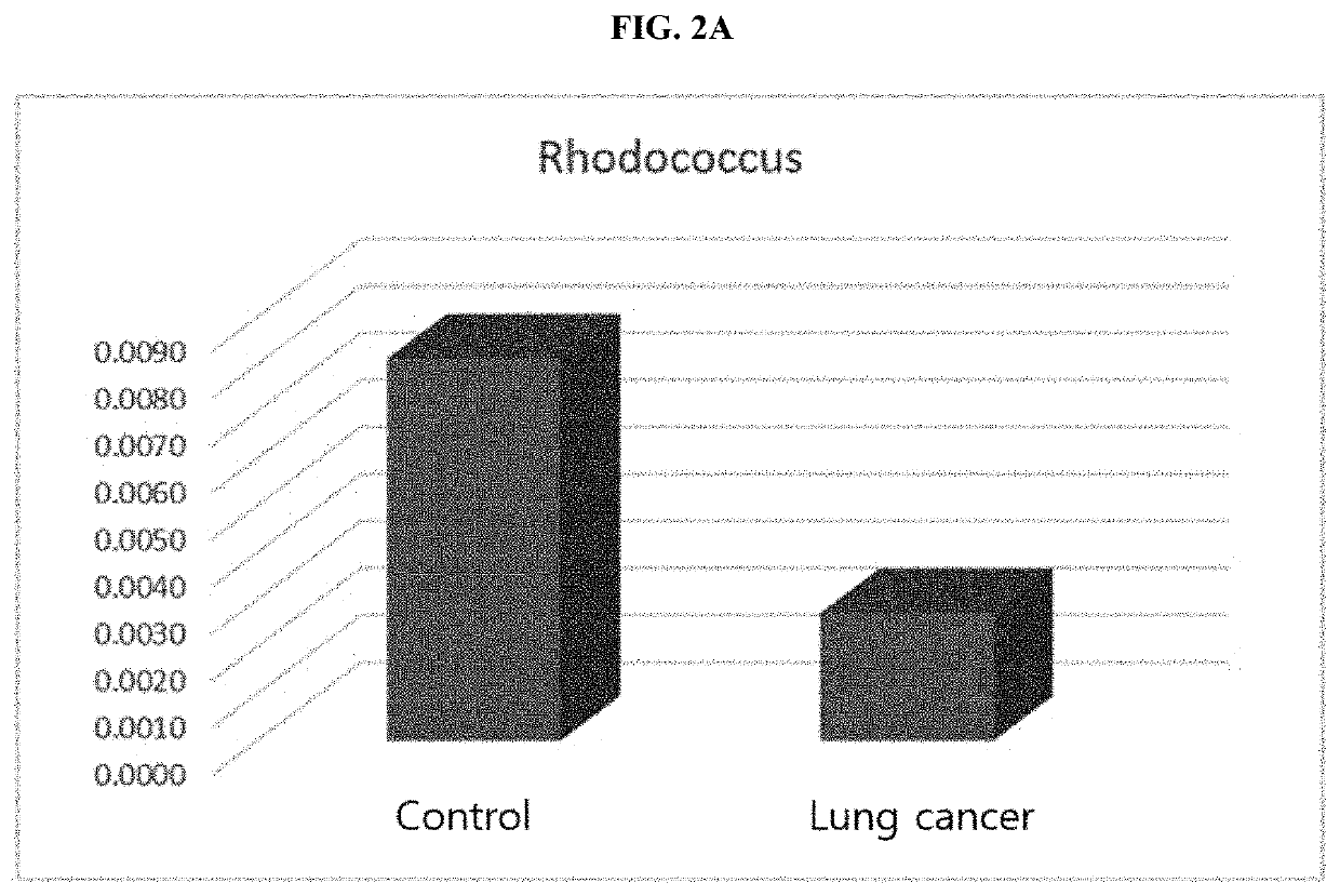 Nanovesicles derived from bacteria of genus rhodococcus, and use thereof