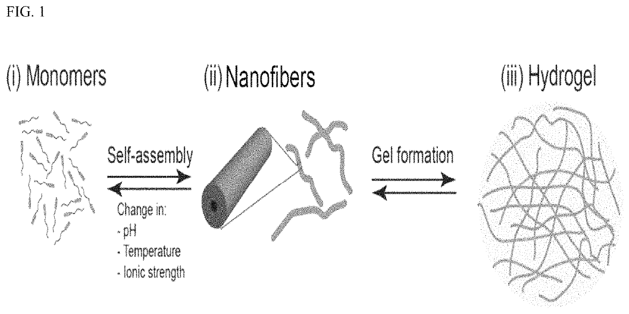 Device and method to treat esophageal disorders