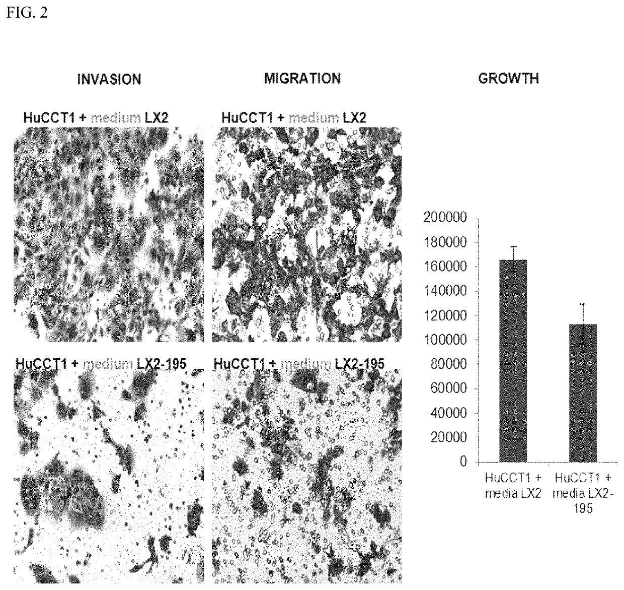 Device and method to treat esophageal disorders