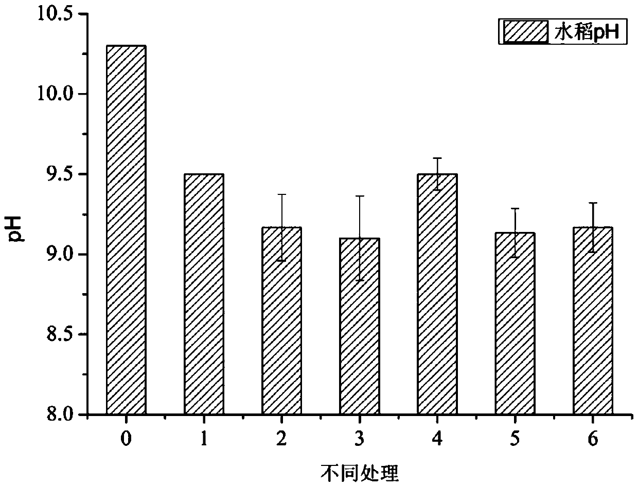 A kind of saline-alkali soil improving agent and preparation method thereof