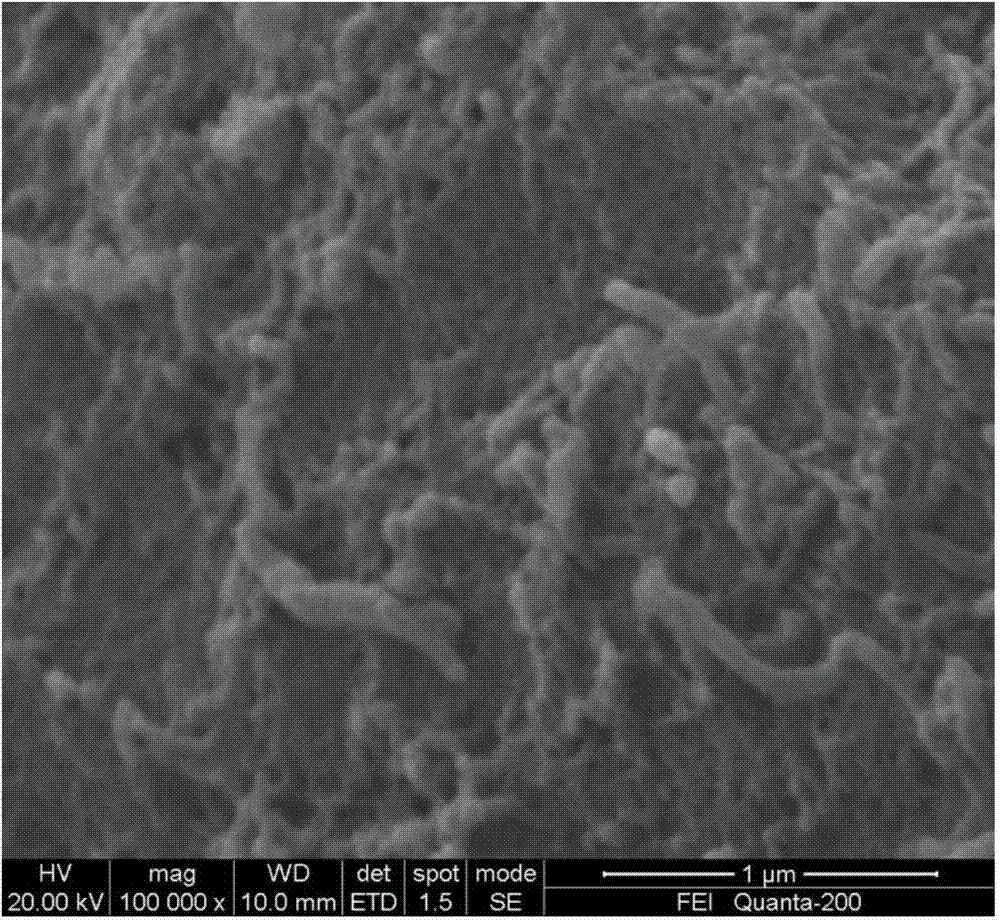 A kind of positive electrode material of lithium-sulfur battery and preparation method thereof