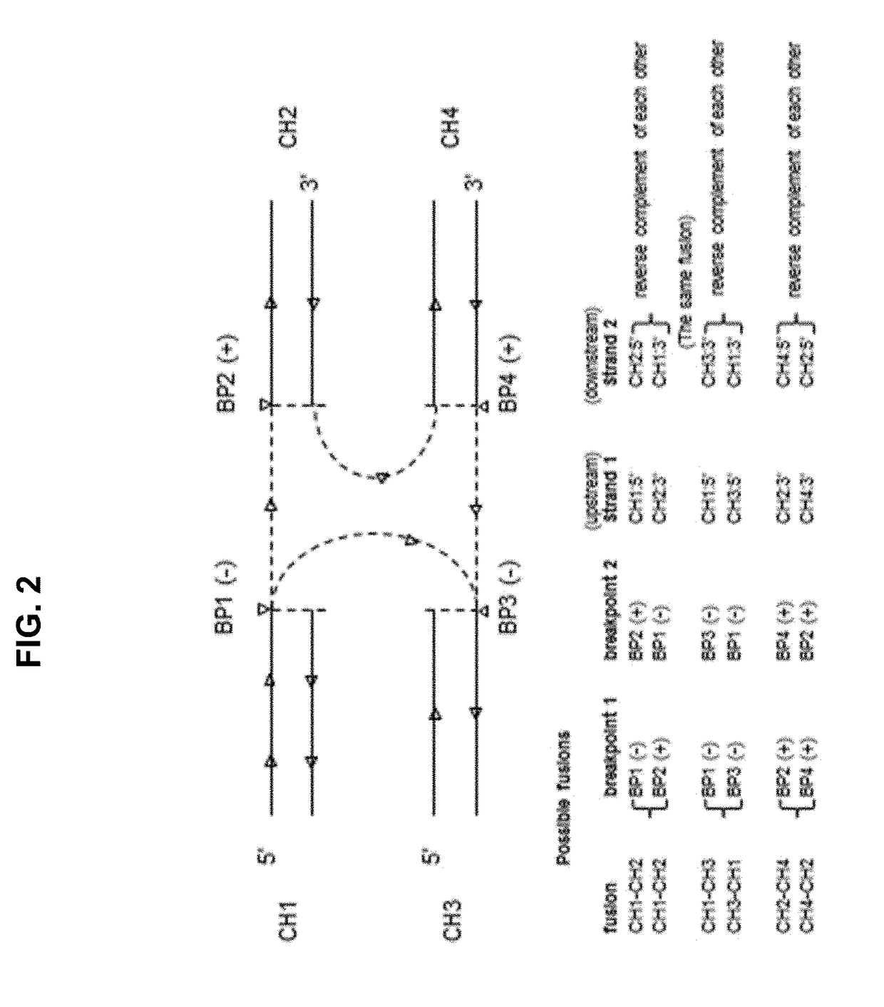 Methods and applications of gene fusion detection in cell-free DNA analysis