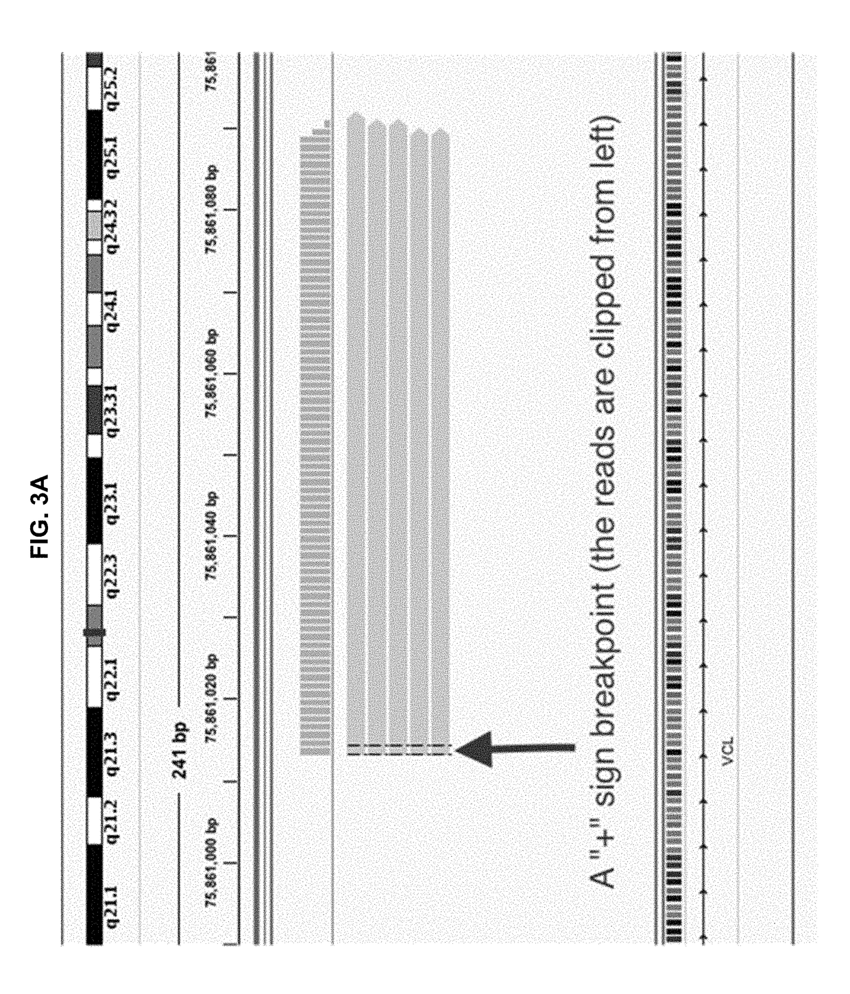 Methods and applications of gene fusion detection in cell-free DNA analysis