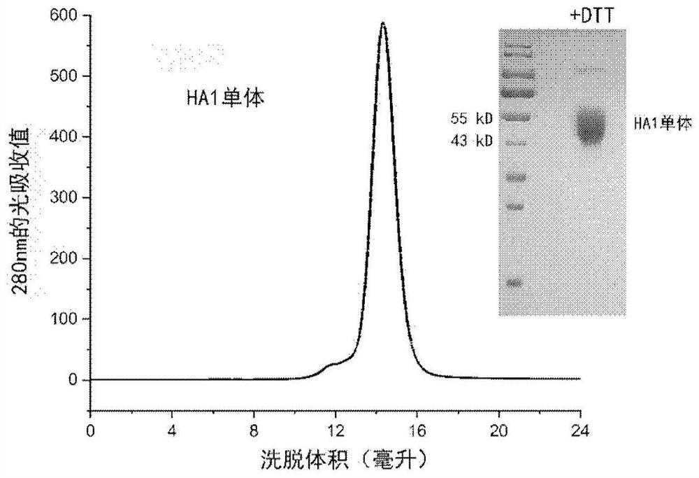 Influenza virus trimer subunit vaccine and application thereof