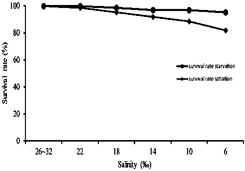 Method for culturing little yellow croakers by artificially desalting seawater salinity