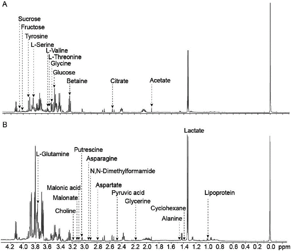 Method for distinguishing tubercular meningitis and virus meningitis based on nuclear magnetic resonance technology and application thereof