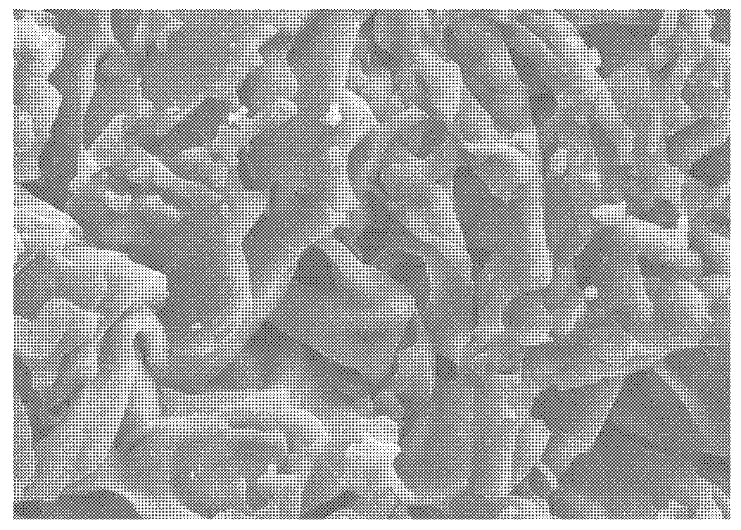 Heavy metal adsorption copolymer with sulfonic acid group and preparation method thereof, and application of heavy metal adsorption copolymer to water treatment