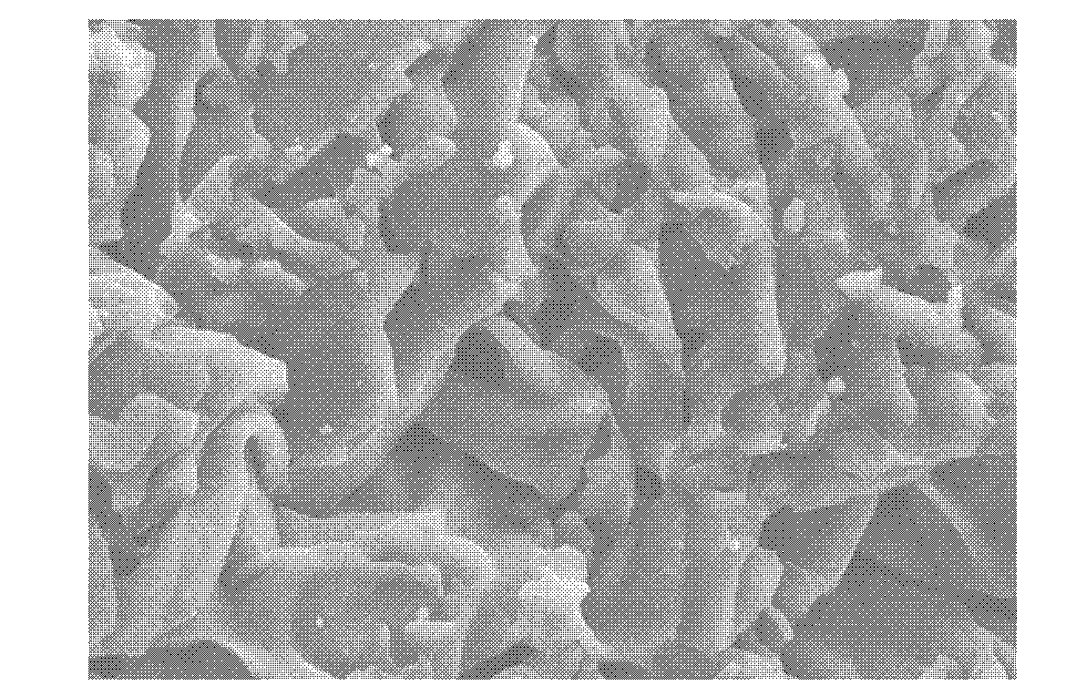 Heavy metal adsorption copolymer with sulfonic acid group and preparation method thereof, and application of heavy metal adsorption copolymer to water treatment