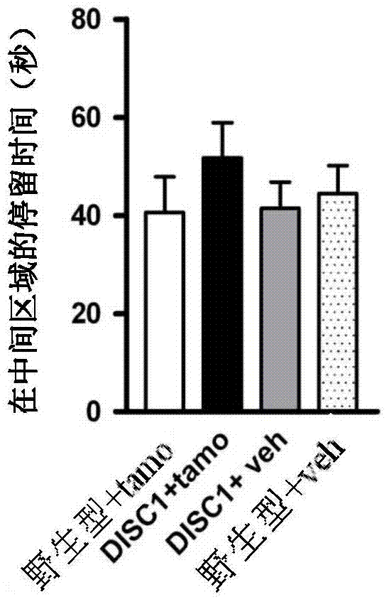 Composition for specifically stimulating astrocytes and its application in improving abnormal behaviors of schizophrenia