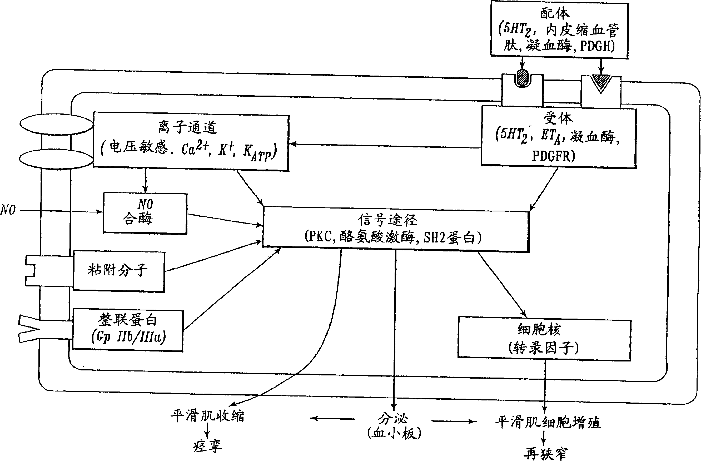 Irrigation solution and method for inhibition of tumor cell adhesion, pain and inflammation