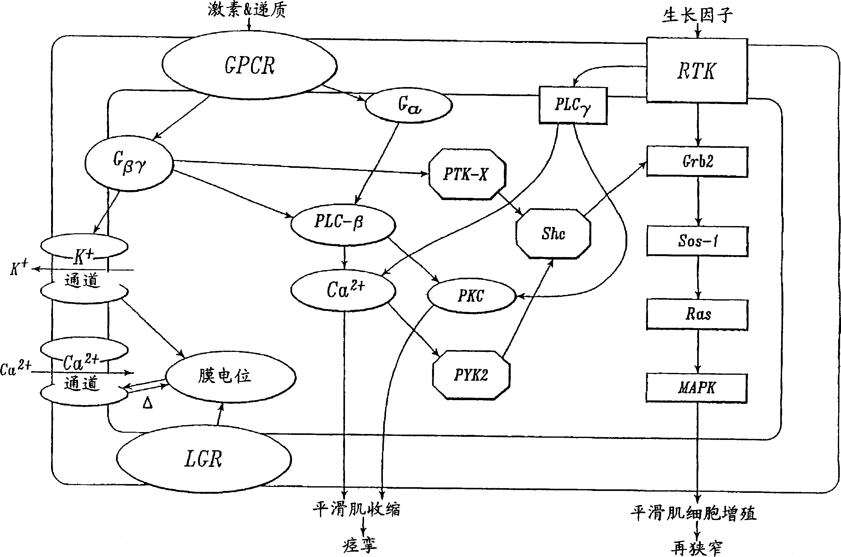 Irrigation solution and method for inhibition of tumor cell adhesion, pain and inflammation