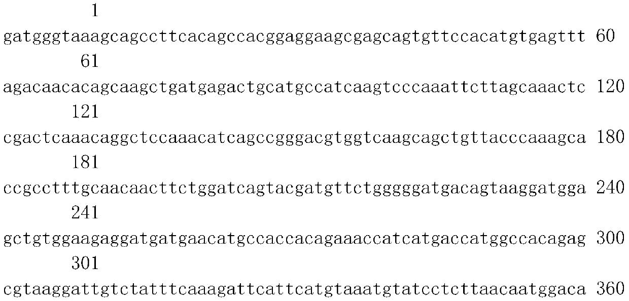 Molecular breeding method for thickening intermuscular bones of silver carp and bighead carp