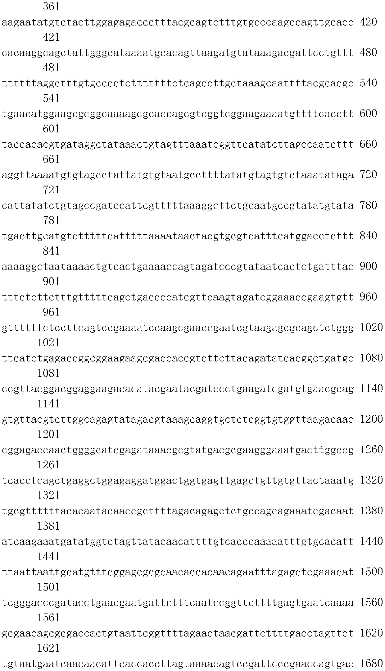 Molecular breeding method for thickening intermuscular bones of silver carp and bighead carp