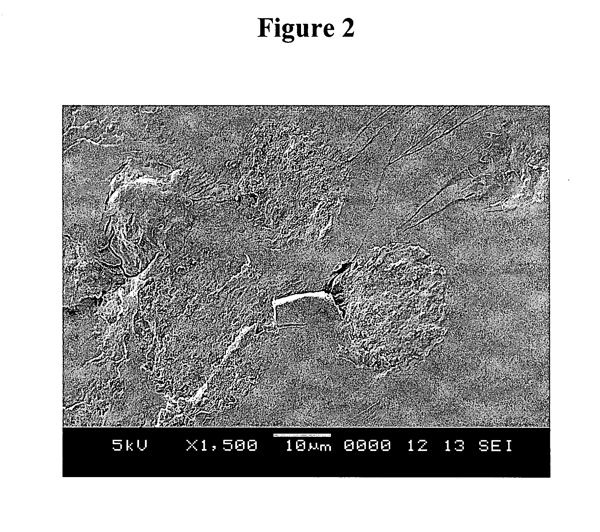 Controlled release microparticles