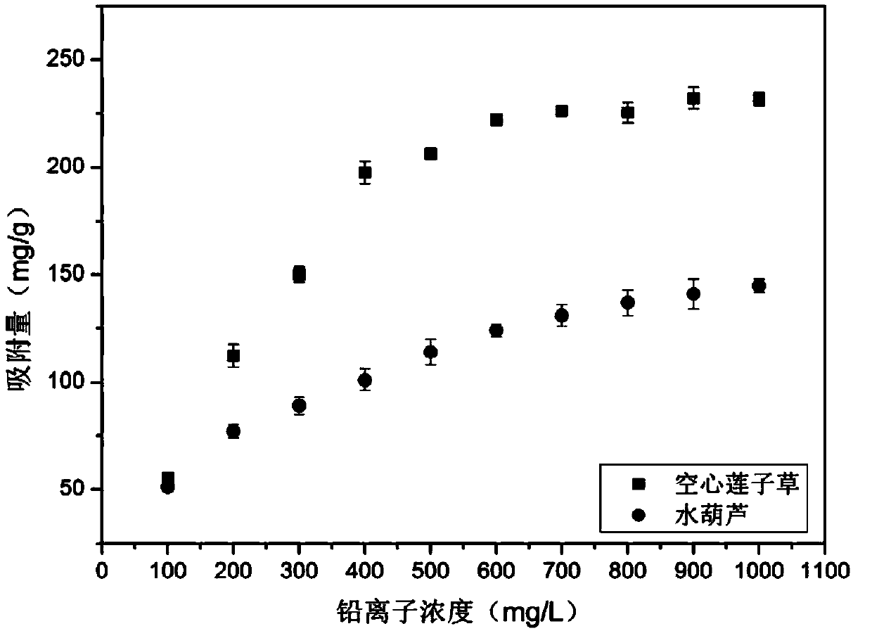 Method for removing lead in polluted water by using aquatic plant biochar