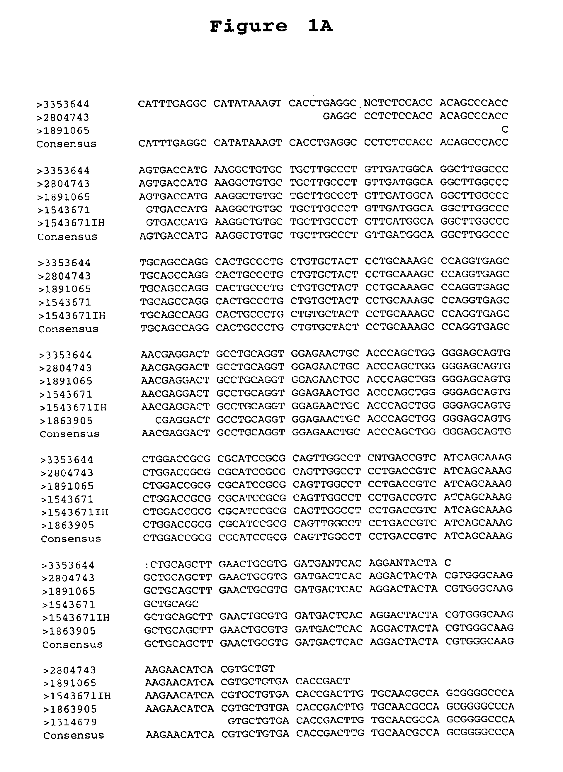 Reagents and methods useful for detecting diseases of the prostate