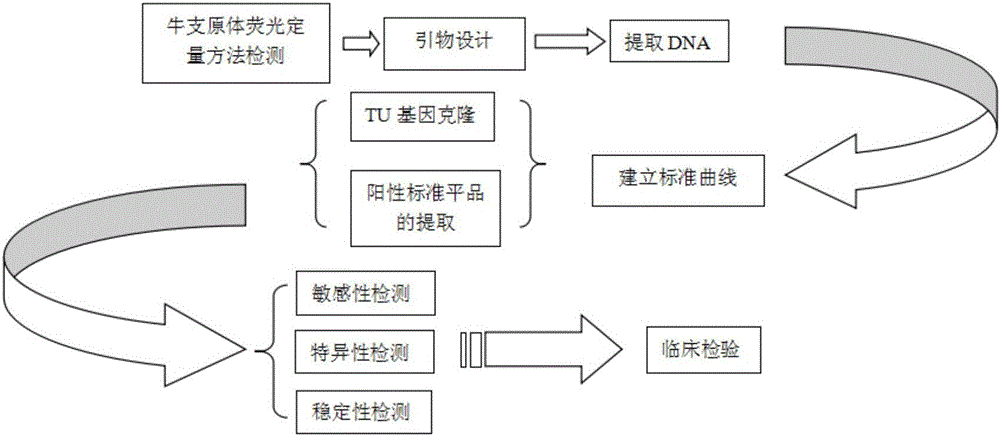 Bovine mycoplasma Taqman fluorescence PCR kit and using method thereof