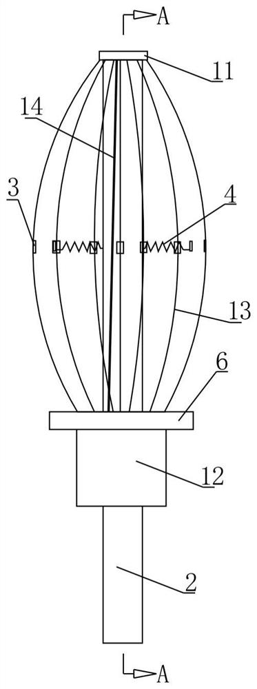 Vaginal dilator for exposing vagina