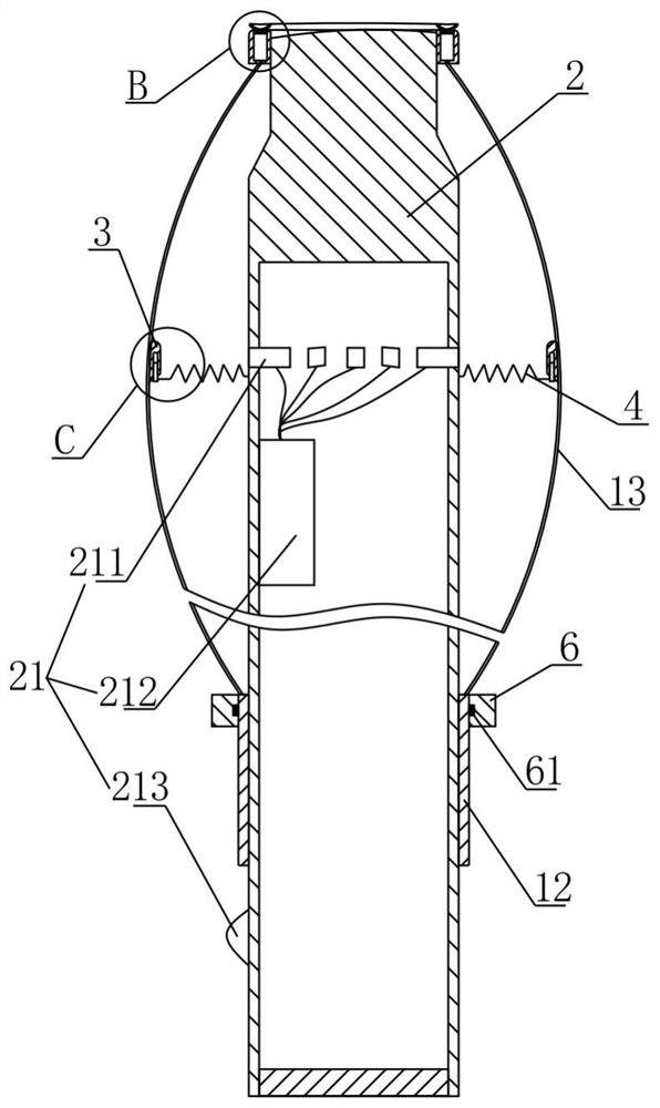 Vaginal dilator for exposing vagina