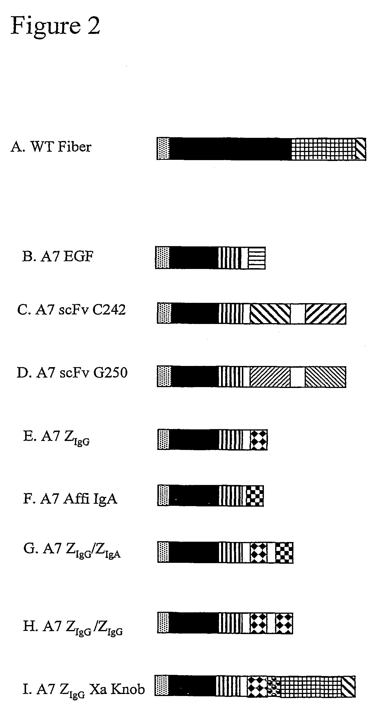 Modified virus comprising one or more non-native polypeptides