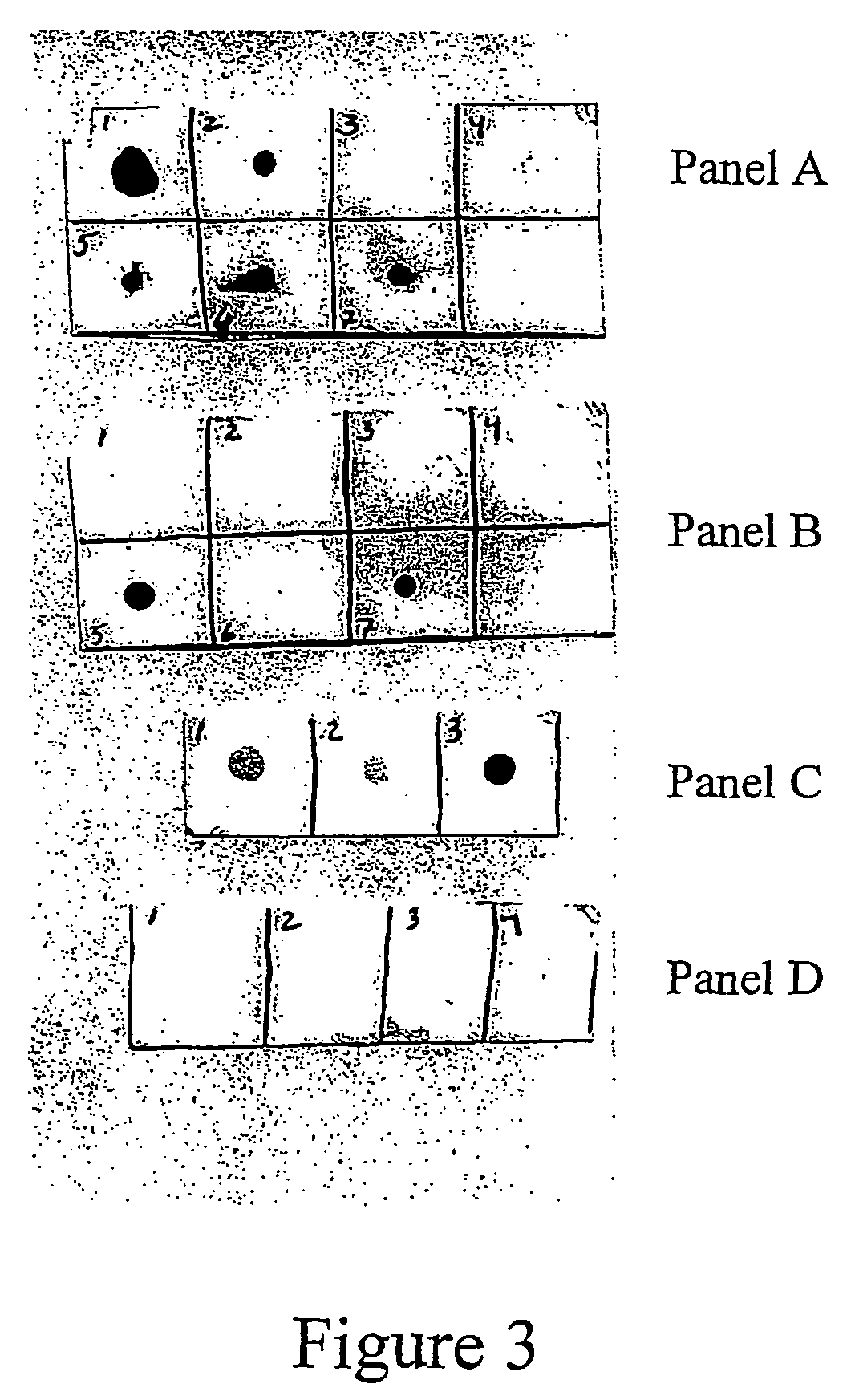 Modified virus comprising one or more non-native polypeptides