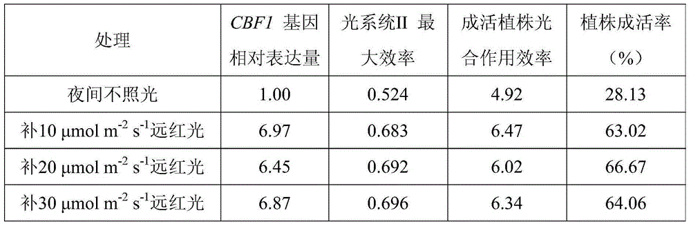 Method for inducing tomato to improve low temperature resistance