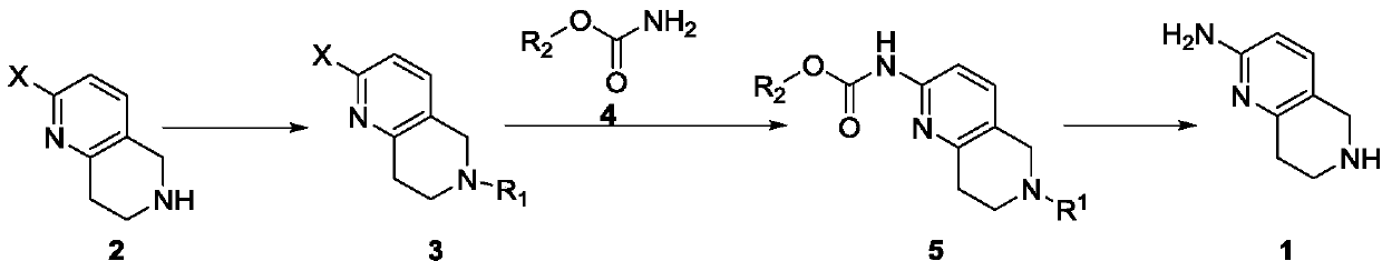 A method for synthesizing 5,6,7,8-tetrahydro-1,6-naphthyridine-2 amine