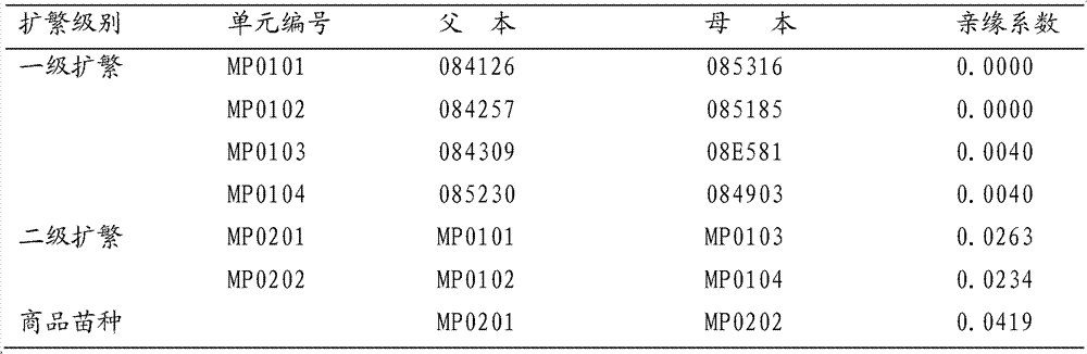 Multi-family hybridization seed production method of prawn